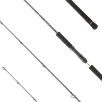 DAIWA LEGALIS JIGGING 100-300G O JG 581 XHS