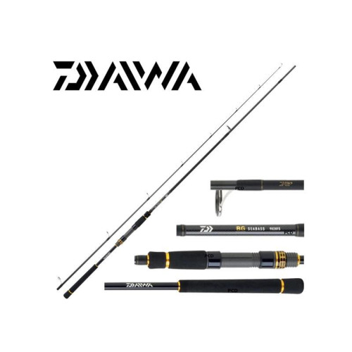 DAIWA BG SEABASS 1002HXHFSCF
