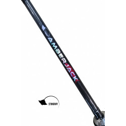 Stingray Amberjack Jigging Rod 150-300g