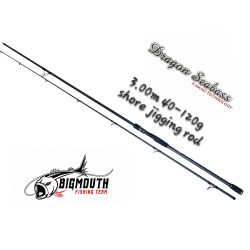 BIGMOUTH DRAGON SHORE JIGGING 3.00M 40-120G