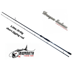 BIGMOUTH DRAGON SHORE JIGGING 3.00M 20-60G