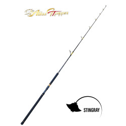 Stingray Atlas GT Popping Rod Stingray Atlas GT Popping Rod